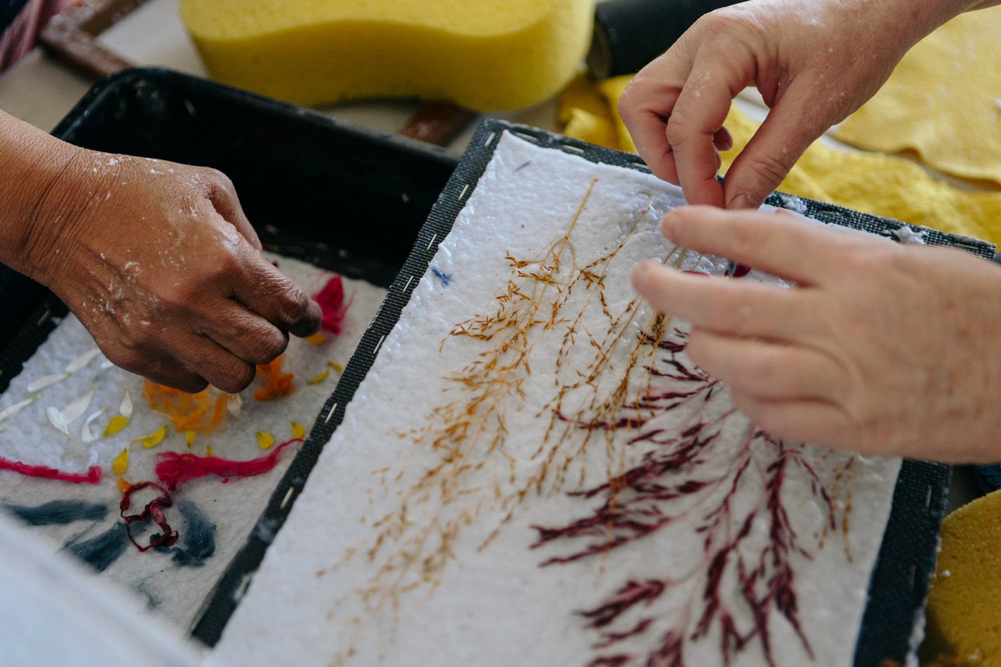 Two people making paper with botanical designs