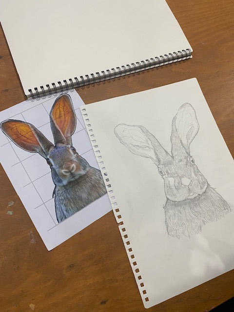 DRAWING FOR ALL AGES 10+