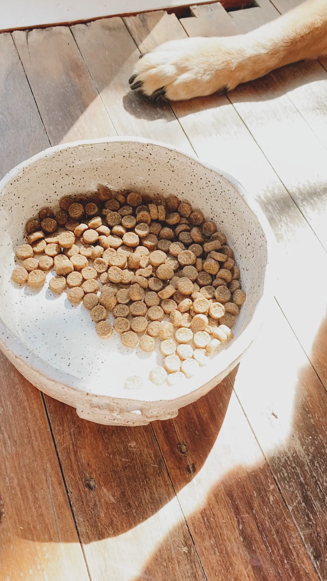 CERAMIC PET BOWL