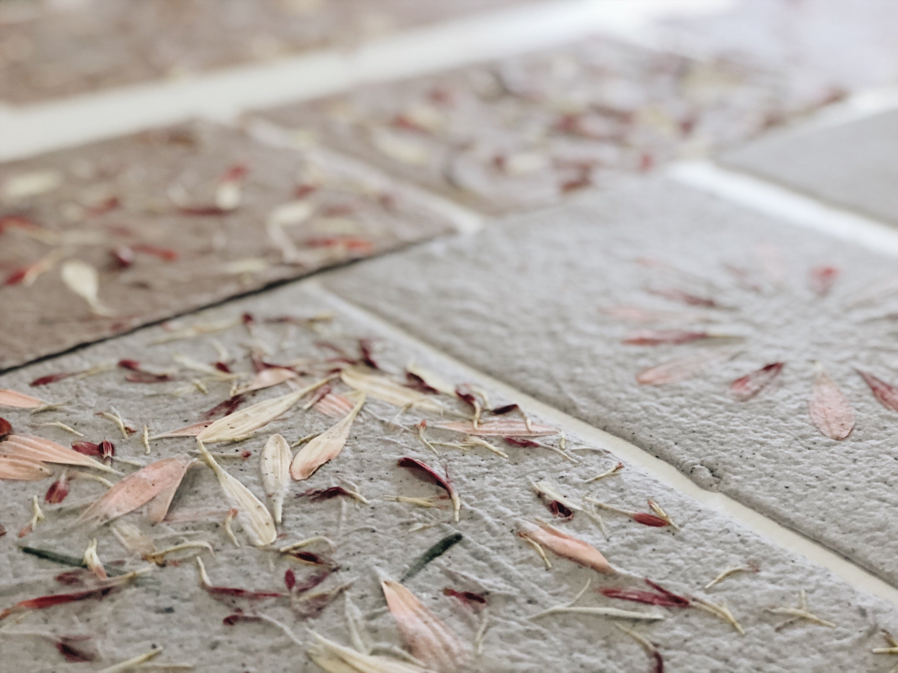 HANDMADE PAPER AND CHRISTMAS LIGHTS
