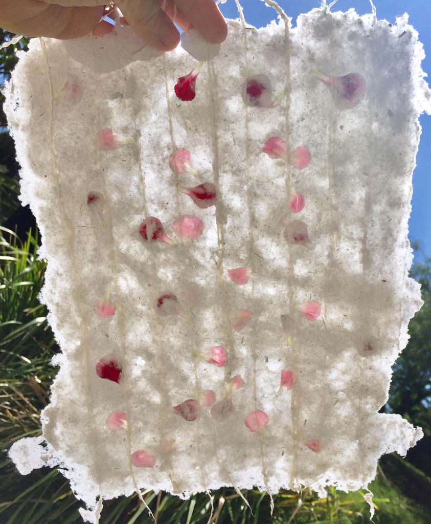 HANDMADE PAPER AND CHRISTMAS LIGHTS
