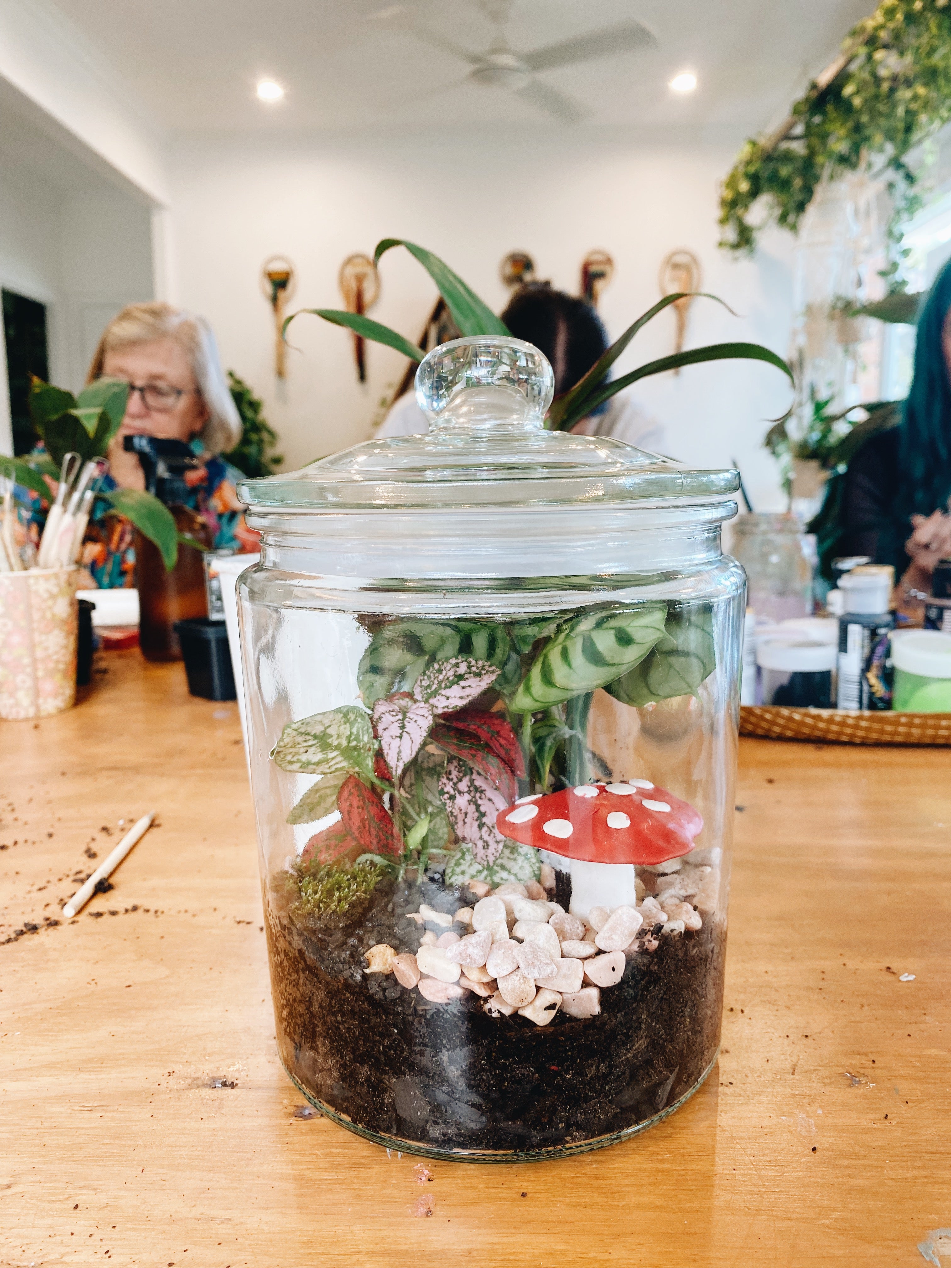 PLANT + SIP