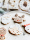 8TH DECEMBER - FESTIVE COOKIE DECORATING