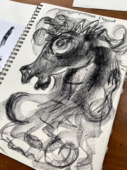 DRAWING FOR ALL AGES 10+